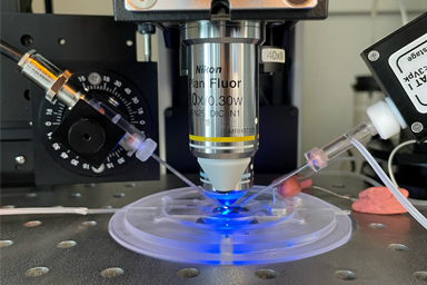 Electrophysiology